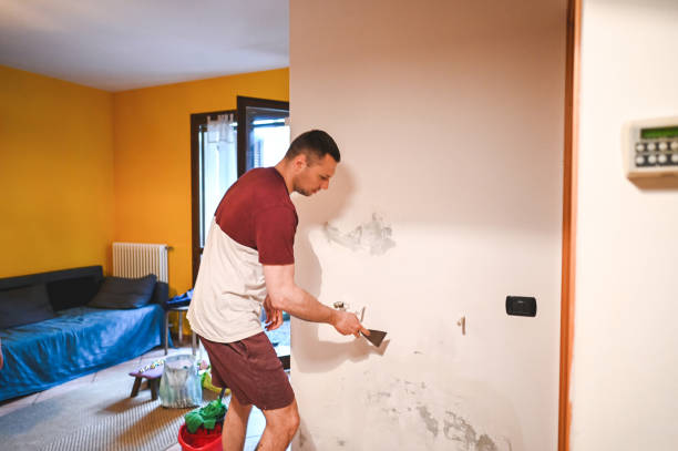 Best DIY Mold Remediation Support Services in White Horse, NJ